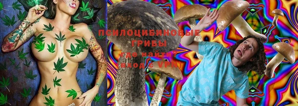spice Балабаново