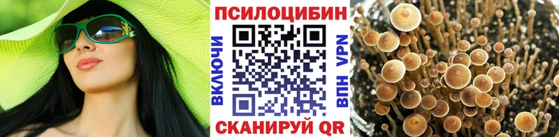 Псилоцибиновые грибы MAGIC MUSHROOMS Красновишерск